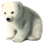 [Image: baby-polar-bear.png]