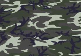 [Image: camouflage%5B1%5D.jpg]